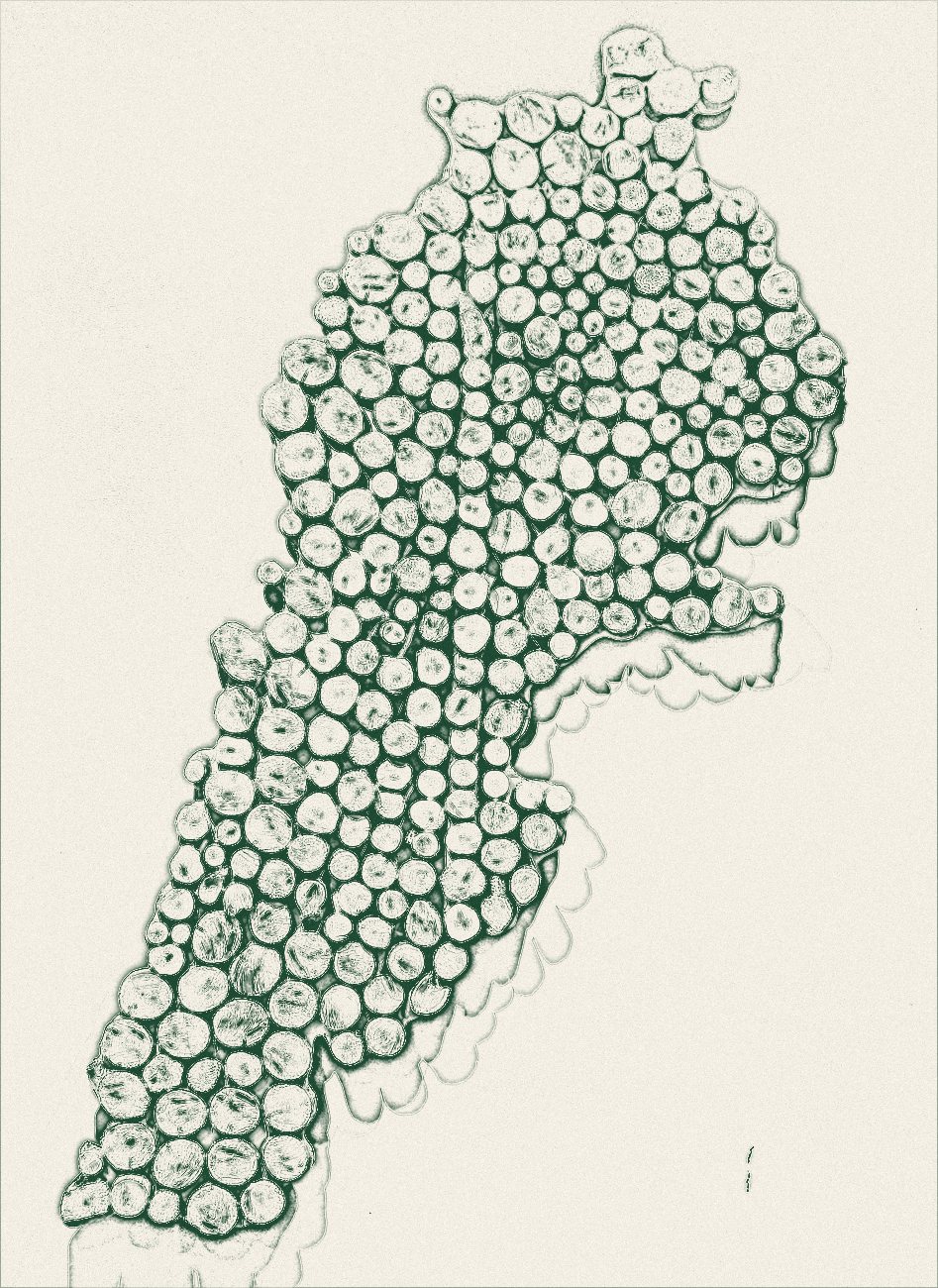 Croquis de la carte du Liban en rondins de bois réalisée par le propriétaire
